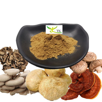 Marca privada Turquia Cauda Chaga Cordyceps Cogumelos Café Crina de Leão Cogumelos Pó de Café