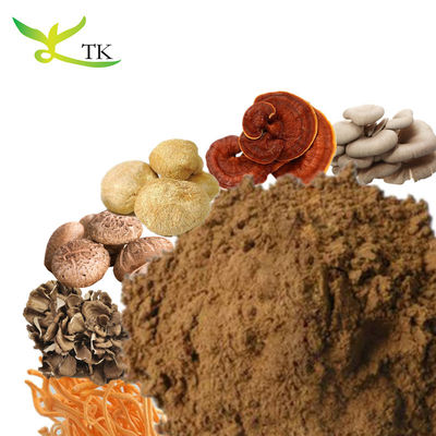 100% Natural Reishi Leão Manela Shiitake Maitake Chaga Turquia Cauda Extracto de cogumelo mistura em pó
