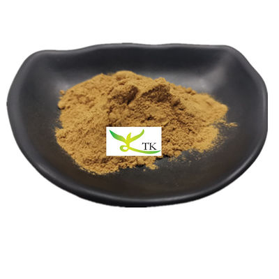 Extracto de cogumelo de salgueiro 100% natural em pó Polissacarídeos Phellinus Igniarius Extracto