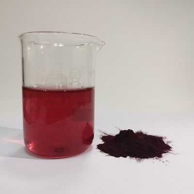 HACCP Fábrica Melhor Preço Atacado Natural 25% Extracto de Mirtilo em Pó Antocianina Solúvel em Água