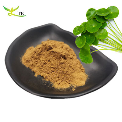 Fábrica Profissional Melhor Preço Fornecimento Gotu Kola Extract 10% Total Asiaticosides Para Cosméticos