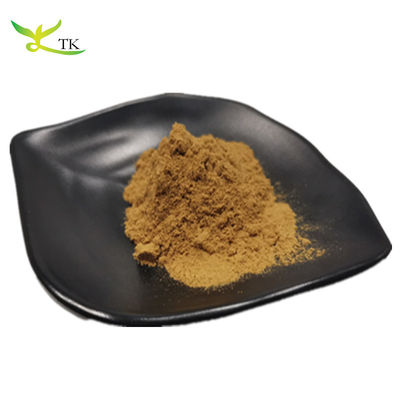 Extracto de plantas natural em pó Gypenoside 98% Gynostemma extracto em pó preço a granel