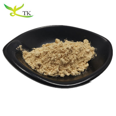 Top Quality 100% Puro Extracto de Raiz de Panax Ginseng Natural Ginsenosides em Pó 10%~80%
