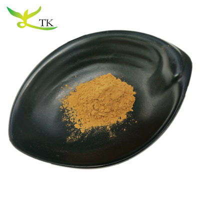 100% Extracto de Ervas Chinesas Naturais Extracto de Raiz de Astragalus Pó Extracto de Huangqi Pó