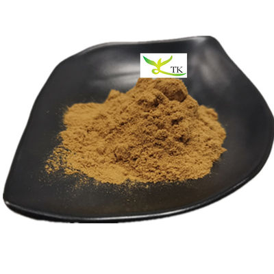 Extracto de raiz de erva tradicional chinesa Angelica Sinensis em pó Ligustilida 1%