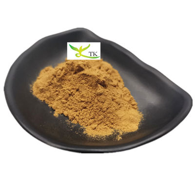 100% de Erva Chinesa Natural Dang Gui Extracto de Dong Quai Extracto de Ligustilide em Pó