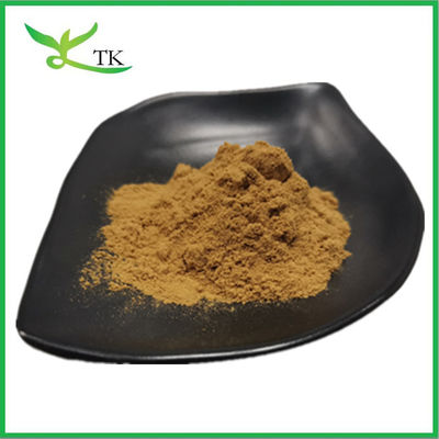 Grau alimentício 100% Extracto de Yucca Schidigera natural em pó Extracto de Yucca Saponina 30%