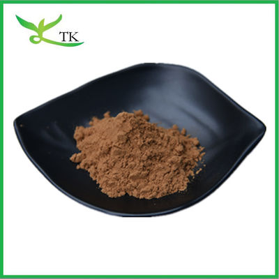 100% Extracto Natural de Semente de Camelia Extracto de Semente de Chá em Pó Chá Saponina 60% 90%