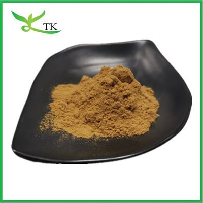 Extracto de trevo vermelho natural puro Isoflavonas 40% em pó Extracto de flor de trevo vermelho