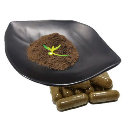 Suplemento de cuidados de saúde natural de ervas Shilajit Extract Powder Ácido fulvíco 50%