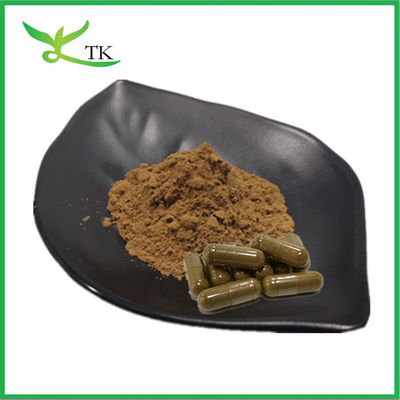 Extracto de planta natural em pó Extracto de aswagandha 10:1 Extracto de raiz de aswagandha