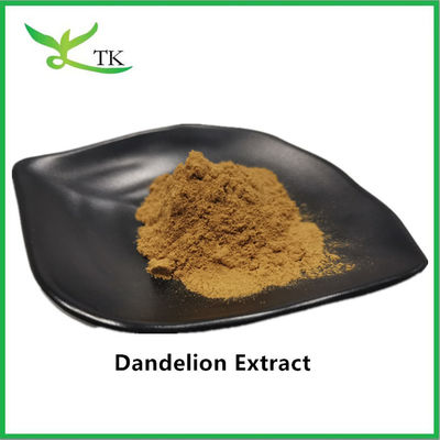 Extracto Natural de Pedrinho 5% Extracto de Raiz de Pedrinho Flavonóides em pó