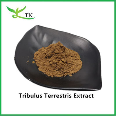 Melhor preço por atacado 100% Extracto de Tribulus Terrestris Natural Saponina em pó 40%