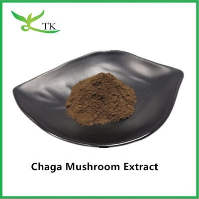 Suplemento Natural de Saúde Extracto de cogumelo Chaga Extracto em pó Chaga polissacarídeo 20%