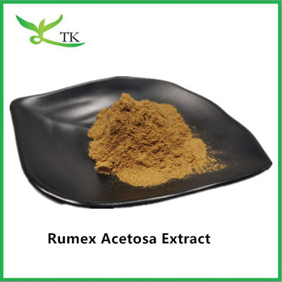 Preço por grosso 100% Extracto de Ervas Naturais Rumex Acetosa L. Extracto em pó
