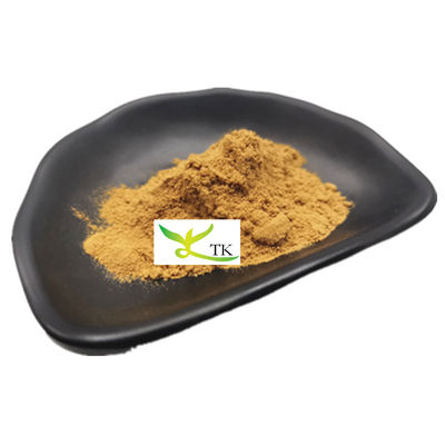 Preço por grosso Grau Alimentar Extracto de cacto natural Extracto de cacto em pó a granel