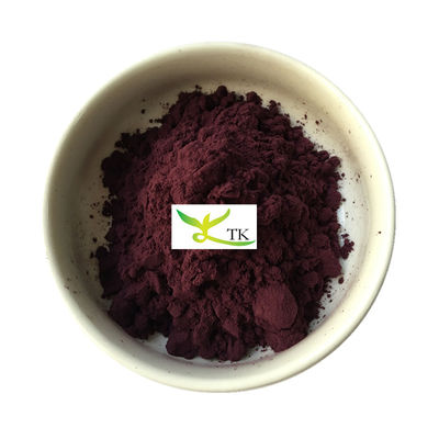 Extracto de groselha preta 100% natural de qualidade alimentar Extracto de groselha preta em pó 10:1