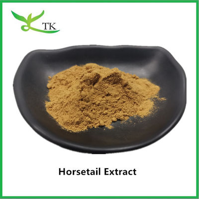 100% extrato de cavalo natural em pó Equisetum Arvense Extract 10:1