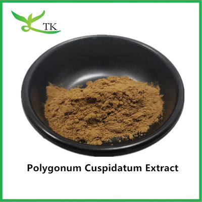 Extracto de planta natural puro de Polygonum cuspidatum, uma planta gigantesca, extracto de resveratrol 20%