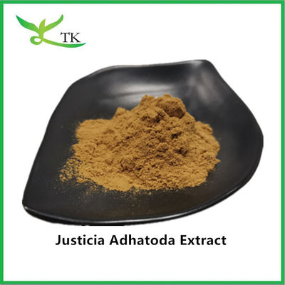 100% Natural Justicia Adhatoda Extract em pó Adhatoda Vasica Extract 10:1