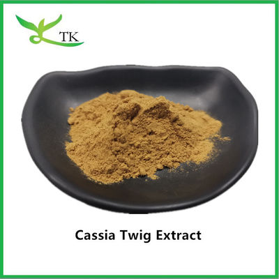 Extracto de Ervas Tradicionais chinesas 100% Natural Gui Zhi Cassia Twig Extract em Pó 10:1