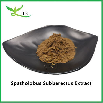 100% Extracto Natural de Caulis Spatholobi em Pó Extracto de Spatholobus Suberectus