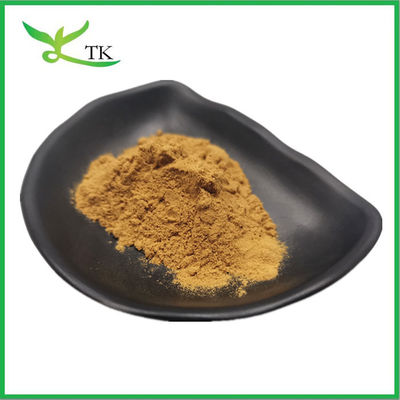100% Extracto vegetal natural Salix Alba Extracto de casca de salgueiro branco Extracto de salicina 10%~98%