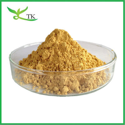 Extracto de Amla Natural Extracto de Gooseberry Indiano Extracto de Gooseberry Indiano em Pó