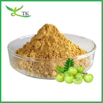 Melhor preço Extracto de groselha indiana em pó Amla Extracto de frutas