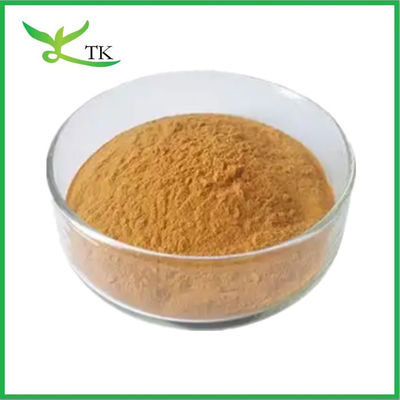 Polypodium Leucotomos Extract em pó Cordierite Extract de Lótus para Proteção UV