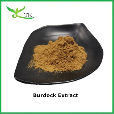 Extracto botânico natural puro Extracto de raiz de bardana Extracto de 4:1 Extracto de bardana