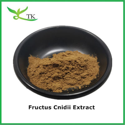 Suplemento de ervas naturais puras Suplemento 10:1 20:1 Fructus Cnidii Extract Powder