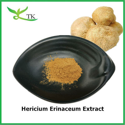 Grau Alimentar Extracto de Hericium Erinaceum Natural Pura Hericium Erinaceum em Pó