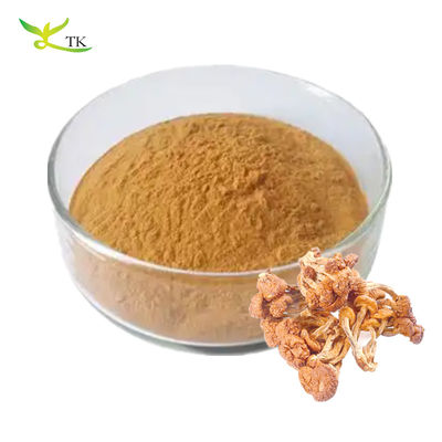 Grau Alimentar Pholiota natural pura Nameko Extract Polysaccharides em pó