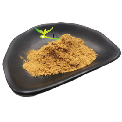 Preço por grosso Extracto de Galangal de qualidade alimentar Extracto de raiz de Galangal em pó