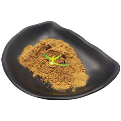 Extracto de Ervas Naturais Extracto de Folha de Lingonberry Lingonberry Leaf Powder Price