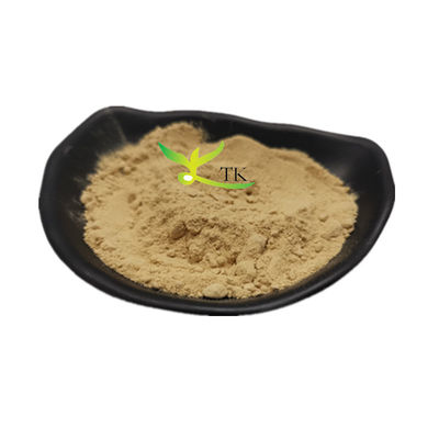 100% Extracto de Eucommia Ulmoides Natural em Pó Extracto de Eucommia Folhas