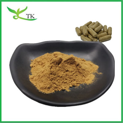 Melhor preço Extracto de algas marinhas castanhas naturais Extracto de algas marinhas Fucoidan em pó