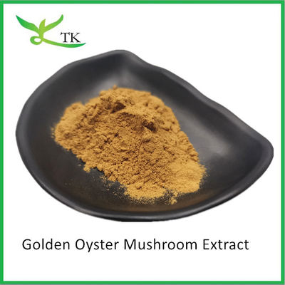 Suplemento de cogumelos naturais Pleurotus Citrinopileatus Extracto de cogumelos de ostra dourada em pó