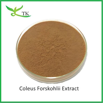 Venda a retalho de extracto vegetal natural Coleus Forskohlii extracto em pó Forskolin preço