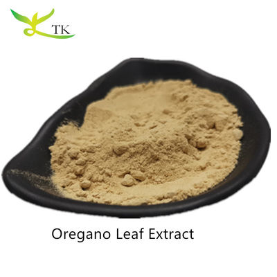 Preço por grosso Extracto de orégano 100% natural em pó Extracto de folhas de orégano