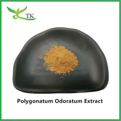 Produto natural de qualidade alimentar Polygonatum Odoratum Extract Polygonatum Odoratum Root
