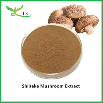 Comércio A Grosso Suplemento de Extracto de Cogumelos Naturais em Pó Preço de Extracto de Cogumelos Shiitake