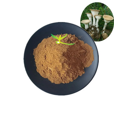 Grau Alimentar Extracto de cogumelo de leite de tigre do género Lignosus Rhinocerus em pó Polissacarídeos 10% a 30%