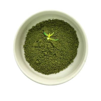 Melhor Preço Extrato de Folha de Moringa Orgânica Natural Pura Extrato de Moringa Oleifera