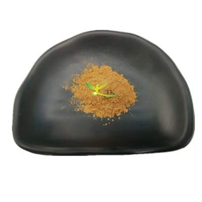 Fungos Naturais Saúde Agaricus Blazei Extracto em Pó Agaricus Blazei Fungos Extracto em Pó