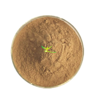 Extracto de casca de cebola 100% natural de qualidade alimentar