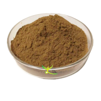 Suplemento Herbal Natural 10:1 20:1 Extrato de Cimicífuga em Pó Cápsulas