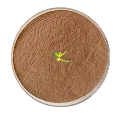 Extrato Natural de Folha de Ginkgo Biloba Extrato de Ginkgo Flavonóides 24% Lactona 6%
