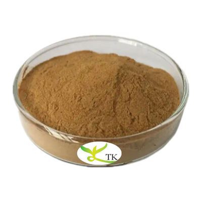 Tonificação Fornecimento Natural Erva Chinesa Tradicional Extrato de Raiz de Isatis Extrato de Isatis Tinctoria em Pó